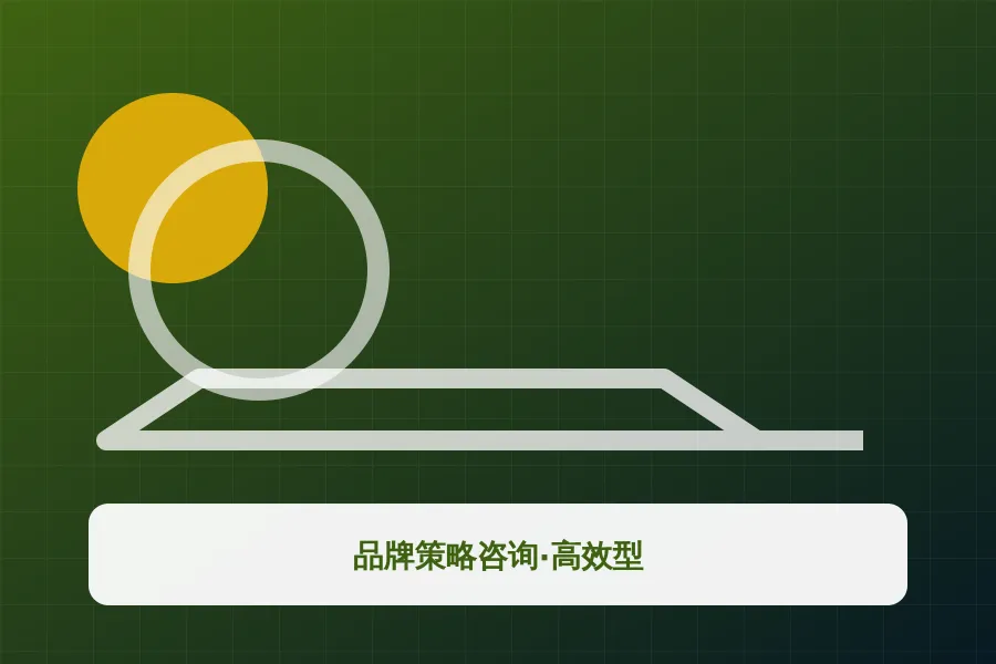 品牌策略咨询·高效型