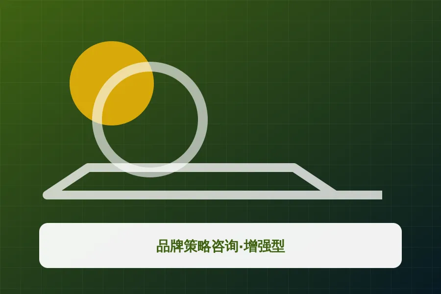 品牌策略咨询·增强型