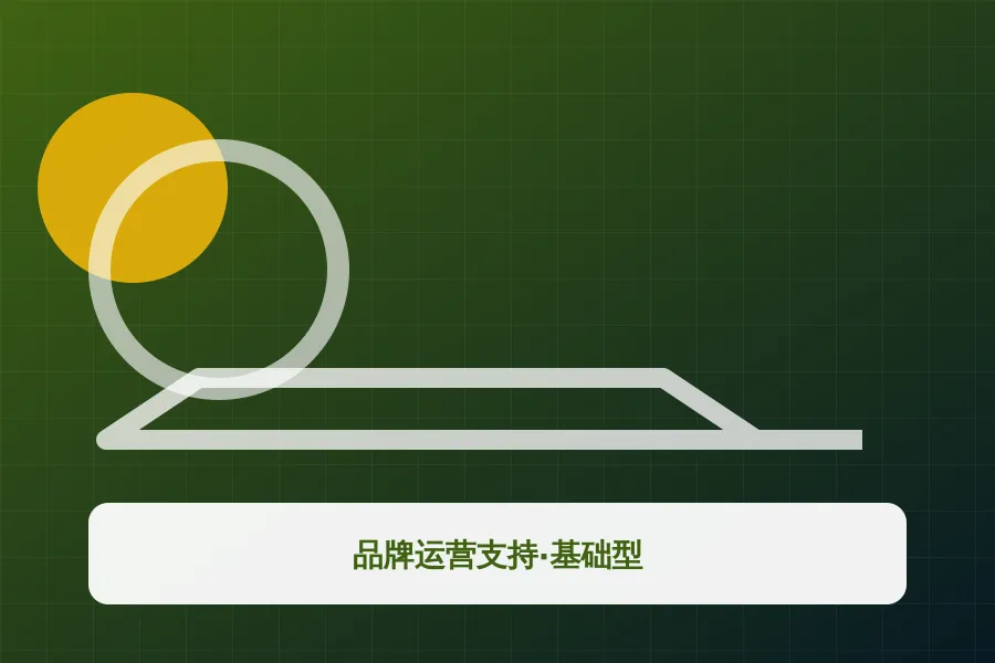 品牌运营支持·基础型应用示意图