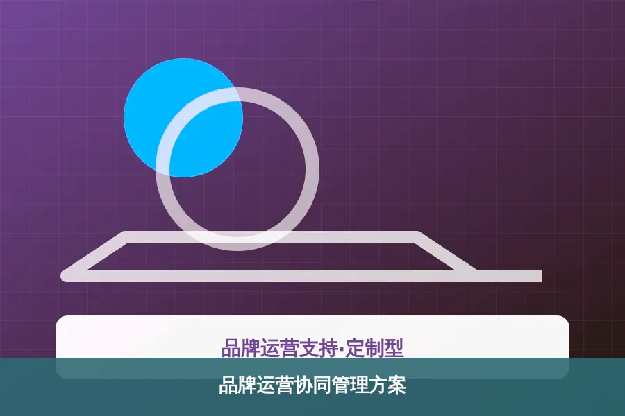 品牌运营协同管理方案产品示意图